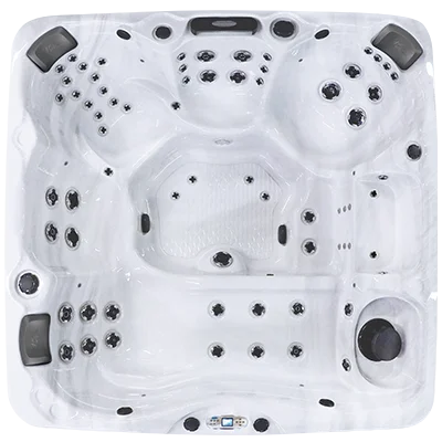 Avalon EC-867L hot tubs for sale in Waukegan