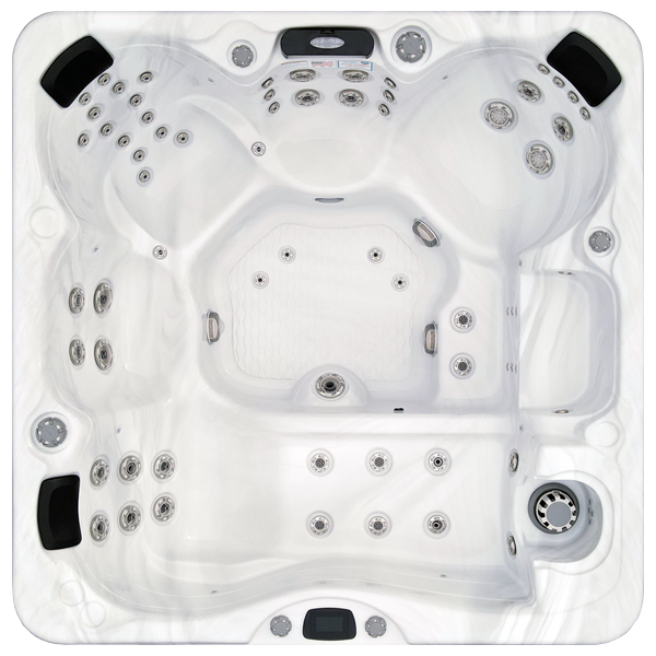 Avalon-X EC-867LX hot tubs for sale in Waukegan