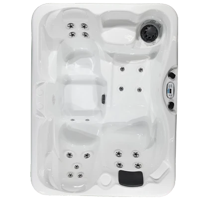 Kona PZ-519L hot tubs for sale in Waukegan